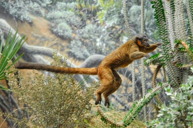 Bronx Zoo Admission Ticket - Key Highlights That Matter Before You Go