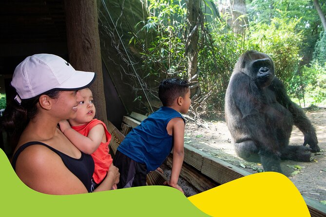 Bronx Zoo Admission Ticket - Bronx Zoo Hours, Last Entry, and When Animals Stop Being the Focus