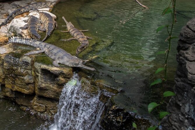 Bronx Zoo Admission Ticket - Butterfly Garden: A Breather That Makes the Whole Day Better