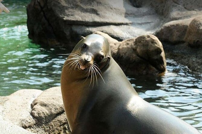Bronx Zoo Admission Ticket - A Sample Flow That Fits the Zoo’s 4-Hour Sweet Spot