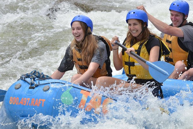 Browns Canyon Intermediate Rafting Trip Half Day - Your on-water ride: rapids with names you can actually follow
