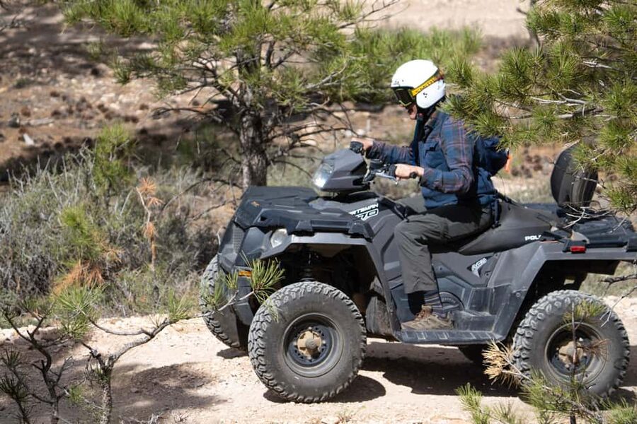 Bryce Canyon City Guided ATV/RZR Tour - Ponderosa Pine Trails Toward the Outer Rim