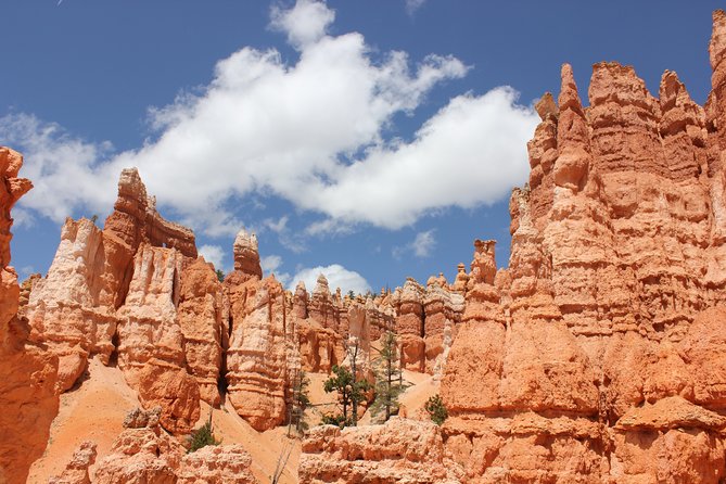 Bryce Canyon & Zion National Park from Las Vegas with Lunch, WiFi - Checkerboard Mesa: a quick stop that’s worth the picture