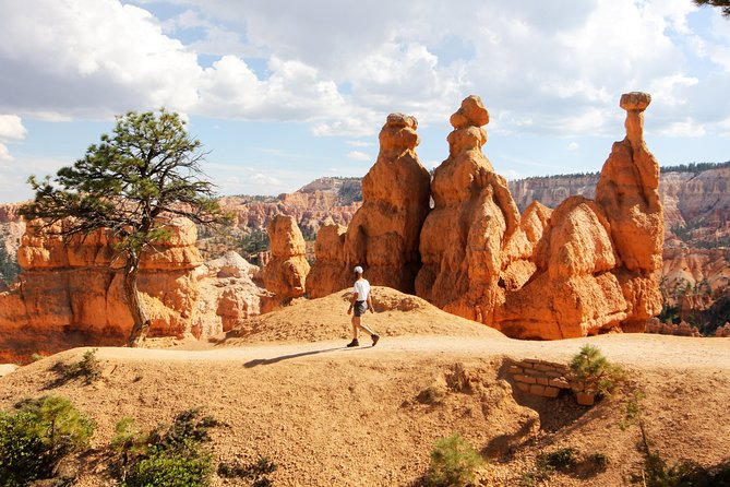 Bryce Canyon & Zion National Park from Las Vegas with Lunch, WiFi - Group size, timing pressure, and what I’d watch for