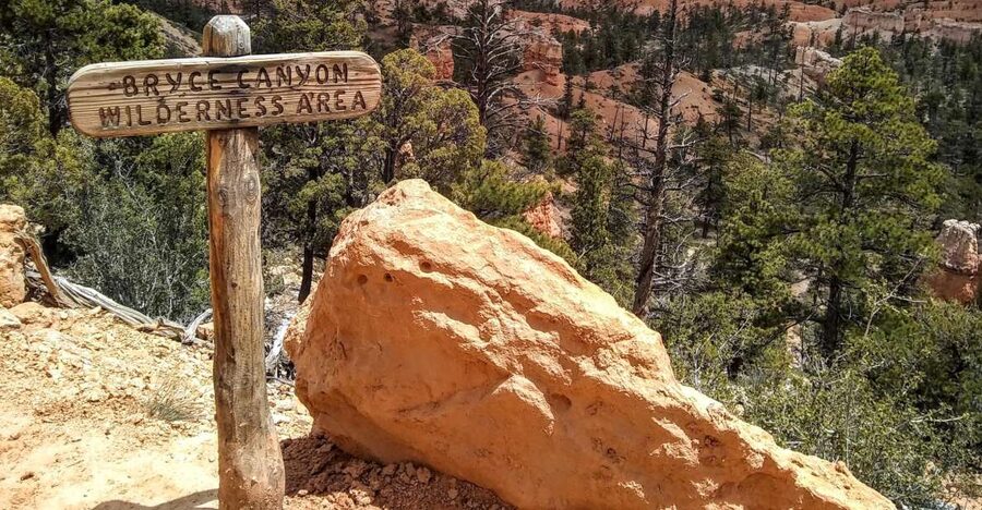 Bryce: Guided Sightseeing Tour of Bryce Canyon National Park - Bryce Canyon Hoodoo Icons, Routed for Maximum Sightseeing