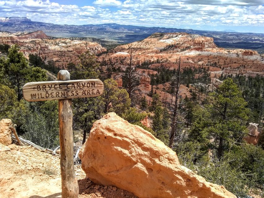 Bryce: Guided Sightseeing Tour of Bryce Canyon National Park - Wall Street and Thor’s Hammer: Silent City Views Without the Planning Headache