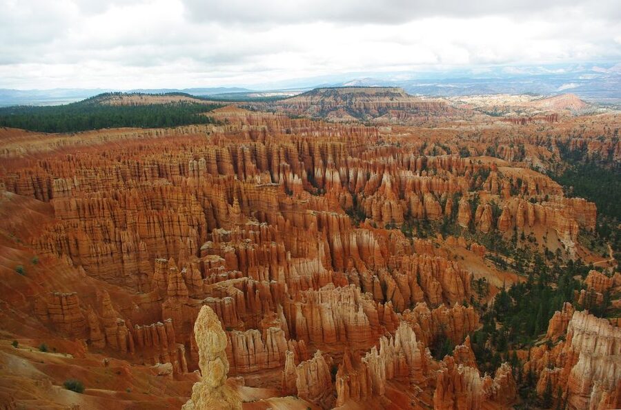Bryce: Guided Sightseeing Tour of Bryce Canyon National Park - Price and Value: What $79 Gets You, Plus What It Does Not