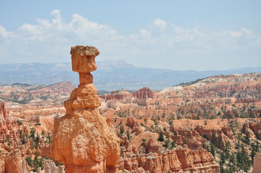 Bryce: Guided Sightseeing Tour of Bryce Canyon National Park - Altitude, Weather, and Pace: How to Think Like a Local