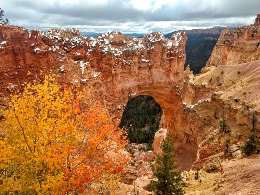 Bryce: Guided Sightseeing Tour of Bryce Canyon National Park - Natural Bridge and the High Plateau Views That Reach Toward the North Rim