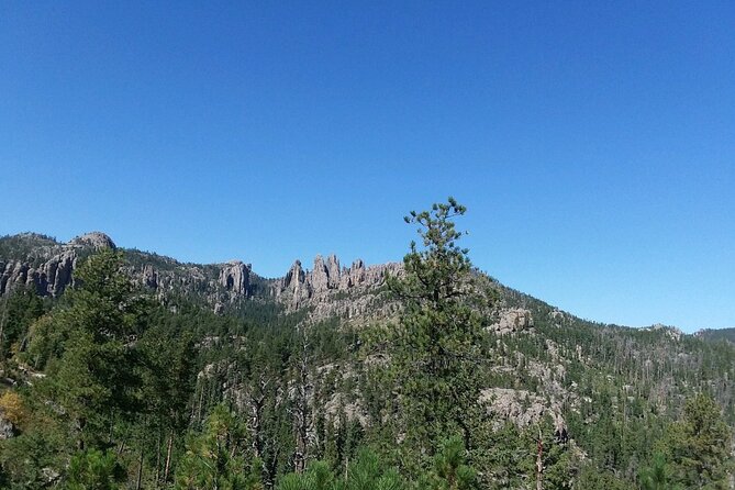 Bus Tour of Mount Rushmore and the Black Hills - Who Should Book This Black Hills Bus Tour From Rapid City