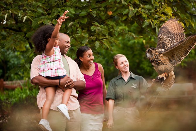 Busch Gardens Williamsburg Admission Ticket - Price and Value: Is $66.05 a Smart Buy?