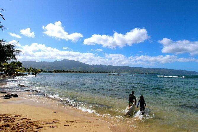 Cage-Free Shark Swim from Oahu - Haleiwa Boat Harbor, Then Straight Into Shark Country