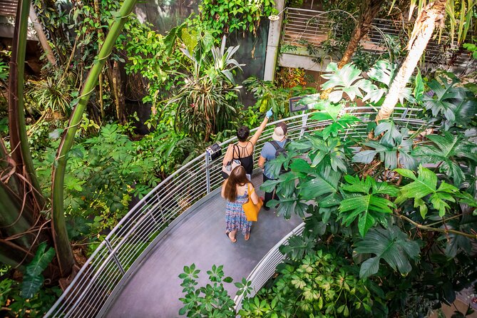 California Academy of Sciences General Admission Ticket - Why Instant Entry at the Academy Matters