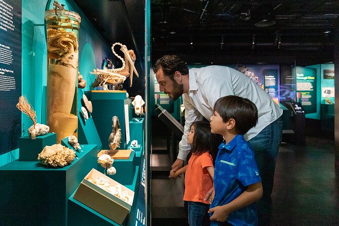 California Academy of Sciences General Admission Ticket - Timing Tips That Actually Help