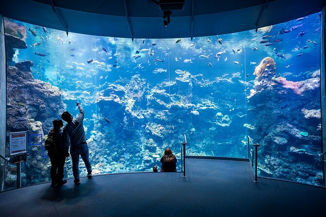 California Academy of Sciences General Admission Ticket - Steinhart Aquarium: Indoor Coral Reef, Venom, and the Twilight Zone Feeling