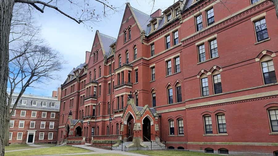 Cambridge, Massachusetts: MIT and Harvard Walking Tour - Key highlights you should care about