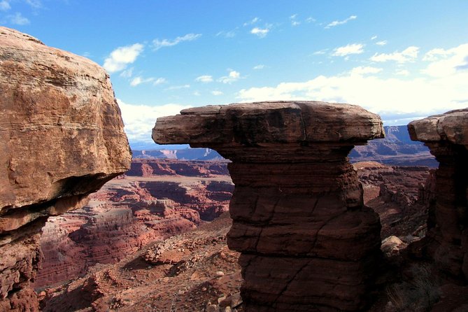 Canyonlands National Park Half-Day Tour from Moab - Island in the Sky: where mesa views meet real canyon depth