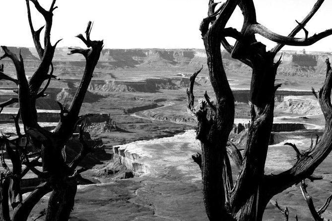 Canyonlands National Park Half-Day Tour from Moab - Gooseneck Overlook and Thelma and Louise Point for river angles