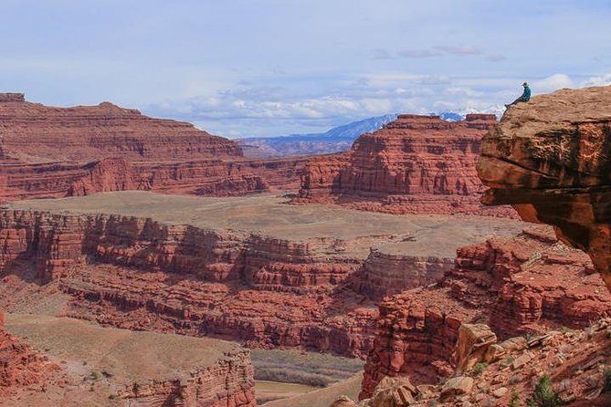 Canyonlands National Park Half-Day Tour from Moab - The driving reality check: what the best reviews really imply