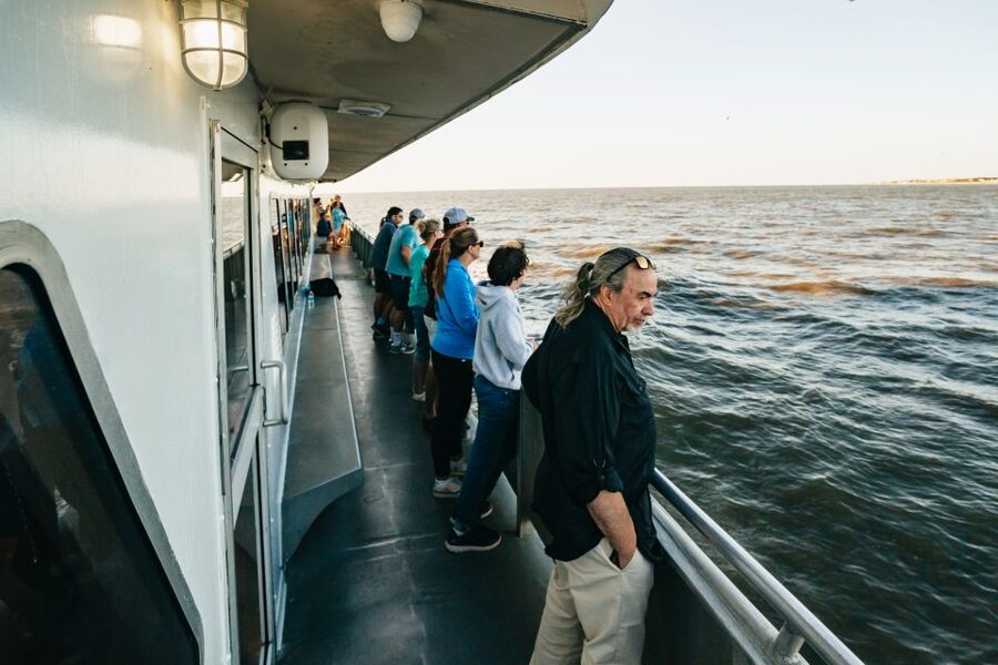 Cape May: Cape May Island Sunset Cruise & Dolphin Watching - Who Should Book This Sunset Dolphin Cruise