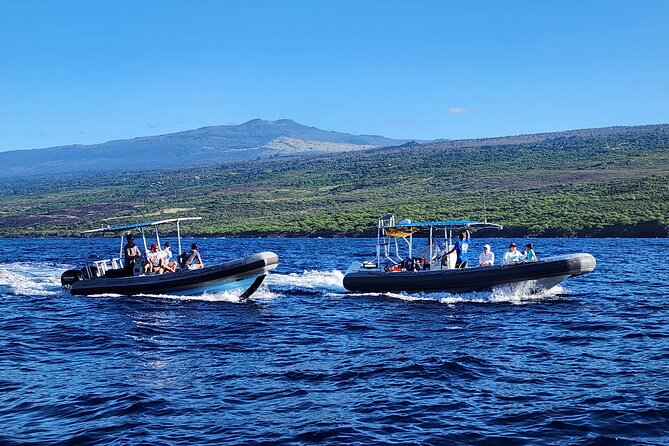 Captain Cook Snorkel Tour with Sea Caves and Lava Tubes - Kealakekua Bay: Why This Snorkel Stop Works