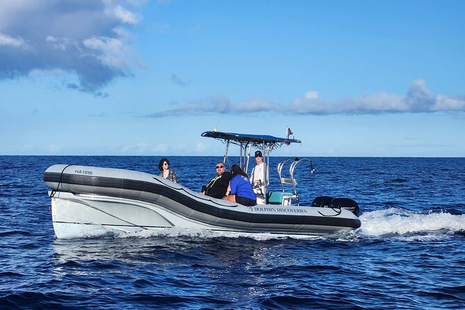 Captain Cook Snorkel Tour with Sea Caves and Lava Tubes - Who Should Book This Captain Cook Snorkel Tour (And Who Should Skip It)