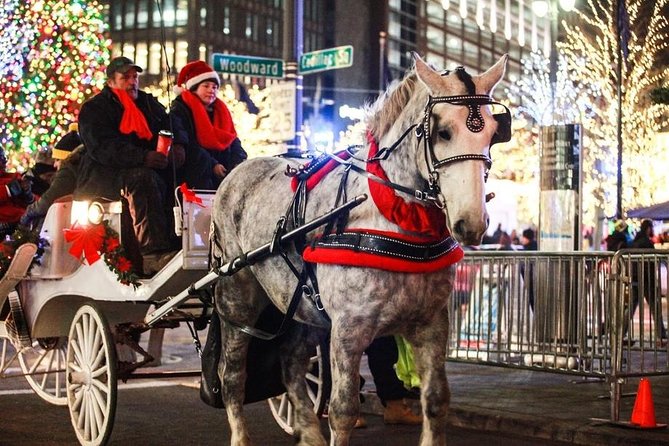 Carriage Ride in Central Park (VIP - PRIVATE) Since 1964™ - Where you meet and how boarding works in real life