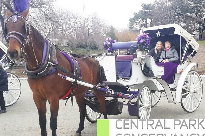 Carriage Ride in Central Park (VIP - PRIVATE) Since 1964™ - How to time it: day vs night, and what changes in winter