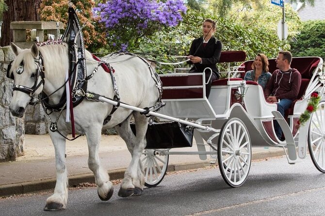 Carriage Ride in Central Park (VIP - PRIVATE) Since 1964™ - Price and value: is $14.99 per group actually a deal?