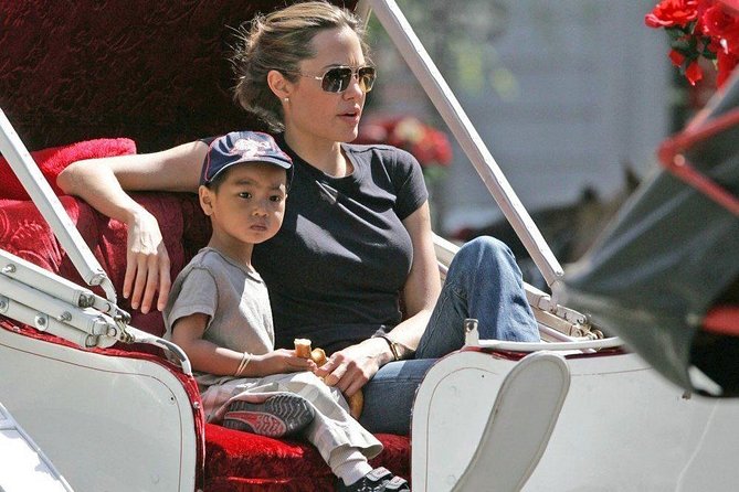 Carriage Ride in Central Park (VIP - PRIVATE) Since 1964™ - Common hiccups to plan around: timing and weather