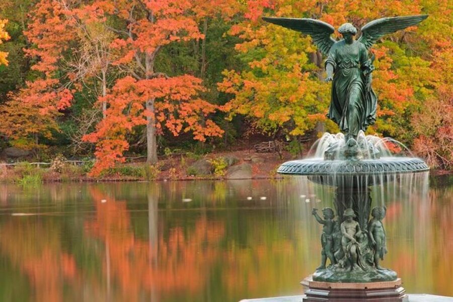 Central Park Bike Rental - Sheep Meadow Picnic Time, Plus Winter Ice Rink Rides