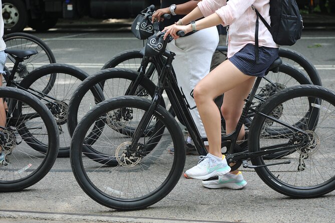 Central Park Bike Rental New York City - Central Park Zoo, Imagine Mosaic, and Carousel Timing Tips