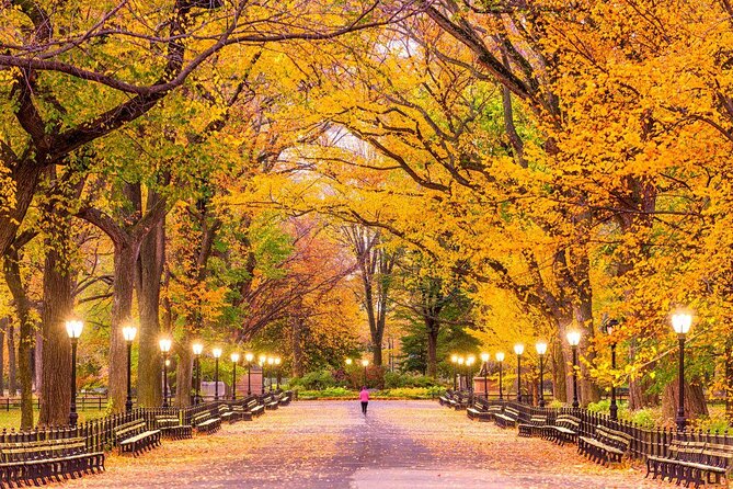 Central Park Guided Pedicab Tours - Key things that make this pedicab tour worth it