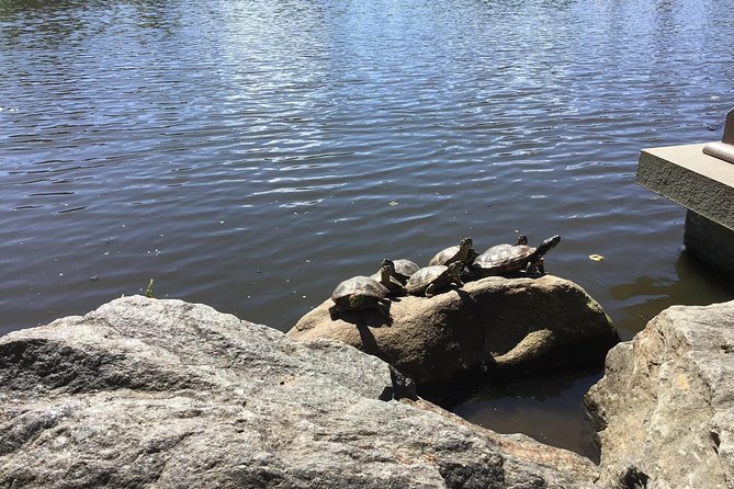 Central Park Guided Walking Tour - Chris’s storytelling and the quieter Ramble moments