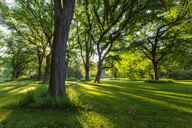 Central Park Guided Walking Tour - Walking level, pace, and what to bring (so you can enjoy it)
