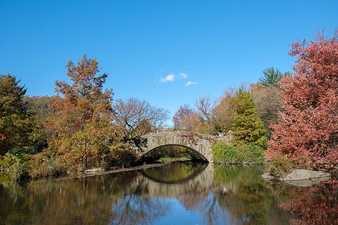 Central Park Private Pedicab Tour (60 mins) - When to ride: timing, weather, and photo strategy