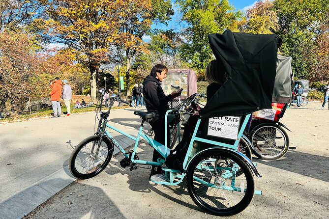 Central Park Private Pedicab Tour (60 mins) - Who this Central Park pedicab tour is best for
