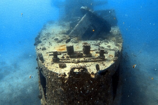 Certified Diver: 2-Tank Deep Wreck and Shallow Reef Dive Off Oahu - Stop One: Sea Tiger Wreck for Structure, Fish, and Bigger Moments