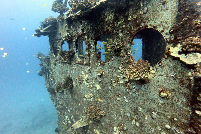 Certified Diver: 2-Tank Deep Wreck and Shallow Reef Dive Off Oahu - Meet the Crew: How Captains and PADI Pros Keep the Day Smooth