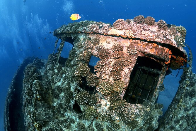Certified Diver: 2-Tank Deep Wreck and Shallow Reef Dive Off Oahu - What to Bring: Certification, Weight, and Small Tips That Prevent Headaches