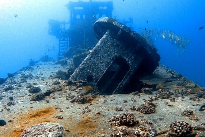 Certified Diver: 2-Tank Deep Wreck and Shallow Reef Dive Off Oahu - Stop Two: Shallow Pipe Reef for Easier Depth and Great Animal Chances