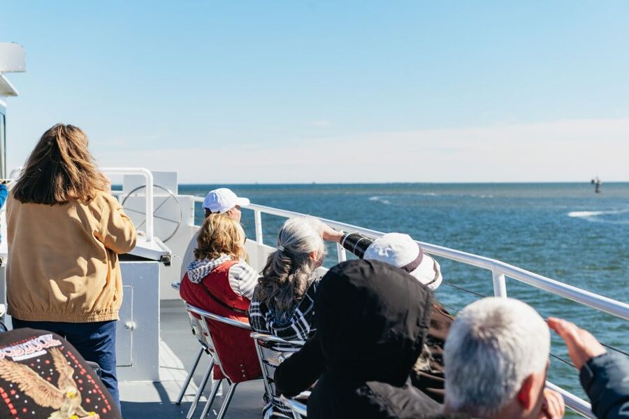Charleston: Daytime or Sunset Historic Harbor Cruise - Daytime vs sunset, which one should you pick