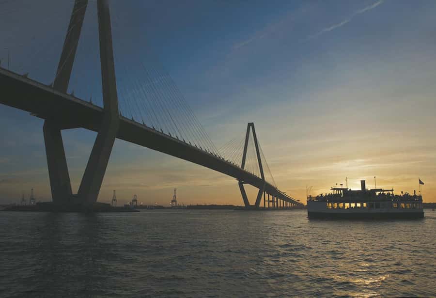 Charleston: Daytime or Sunset Historic Harbor Cruise - Dolphins and pelicans, when nature shows up