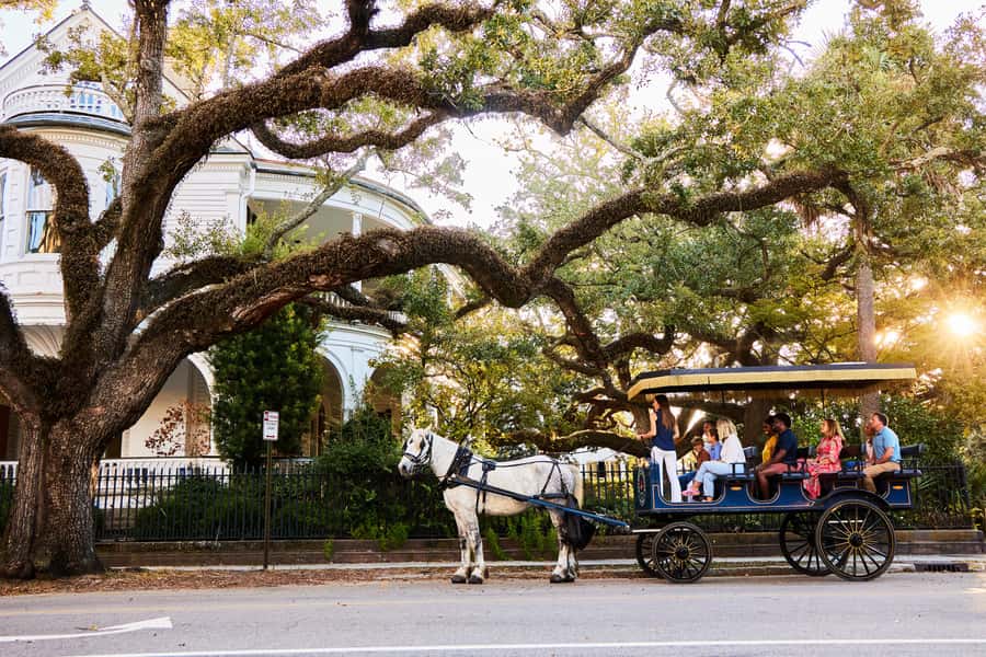Charleston: Downtown Horse-Drawn Carriage Tour - Key things to know before you ride