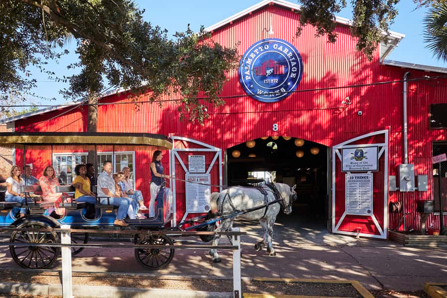 Charleston: Downtown Horse-Drawn Carriage Tour - Who This Tour Suits Best in Charleston