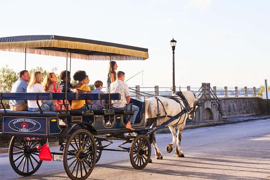 Charleston: Downtown Horse-Drawn Carriage Tour - Comfort Tips for a Better Ride (Not Just the Weather)