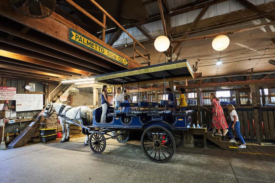 Charleston: Downtown Horse-Drawn Carriage Tour - What You Ride: Slow Streets, Spanish Moss, and Care You Can See