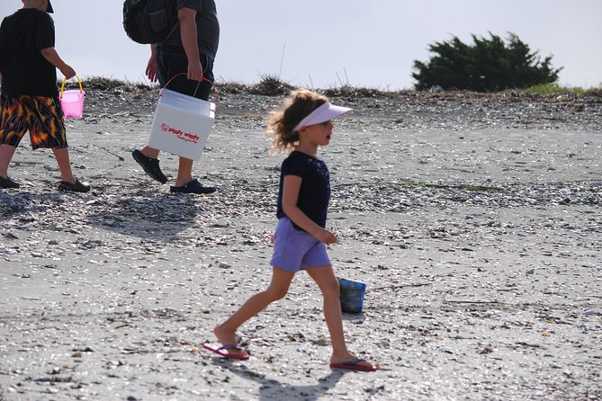 Charleston Eco Boat Cruise with stop at Morris Island Lighthouse - The Second Phase: More Island Time, More Learning, More Wildlife Chances