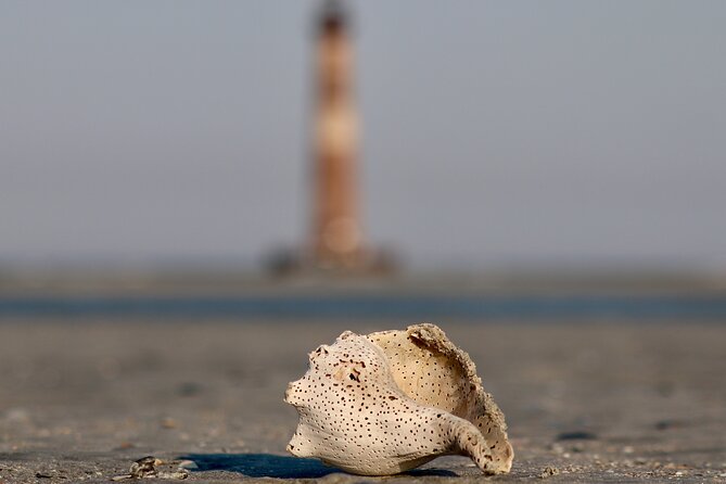 Charleston Eco Boat Cruise with stop at Morris Island Lighthouse - Who Should Book This Eco Boat Cruise, and Who Might Skip It?