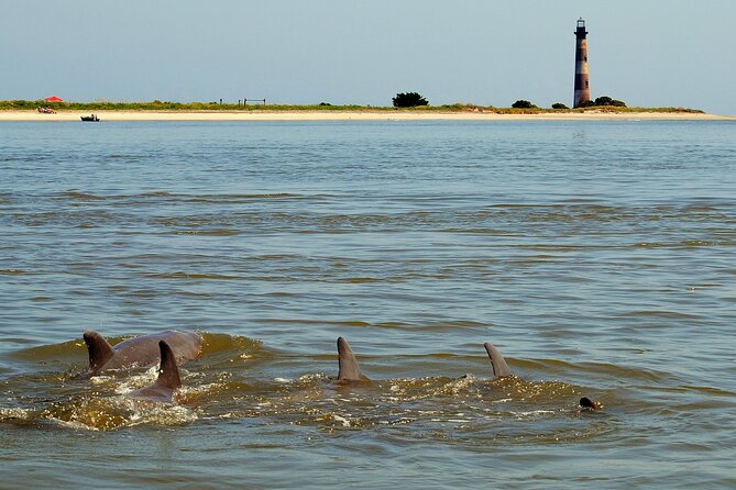 Charleston Eco Boat Cruise with stop at Morris Island Lighthouse - Should You Book This Charleston Eco Boat Cruise to Morris Island?